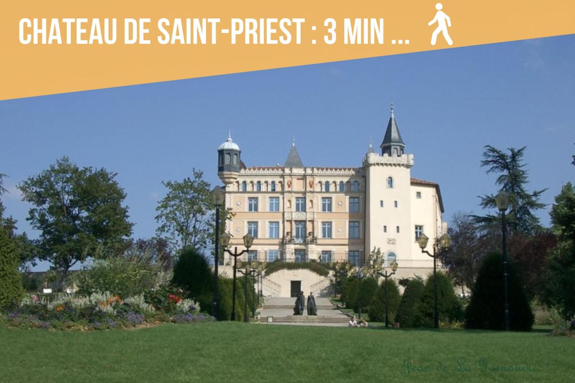 Appartement Les Allées du Château, proche Lyon Eurexpo Stade Saint-Priest  Exterior foto
